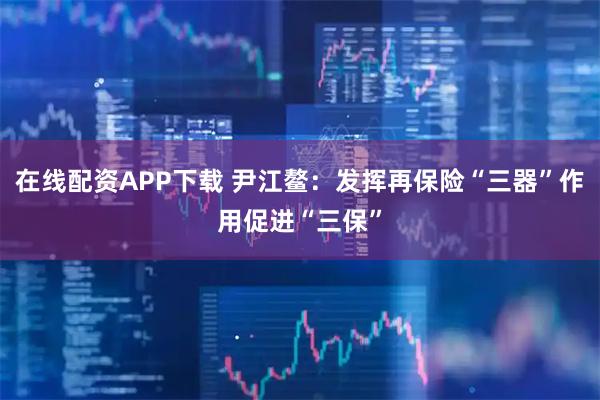 在线配资APP下载 尹江鳌：发挥再保险“三器”作用促进“三保”