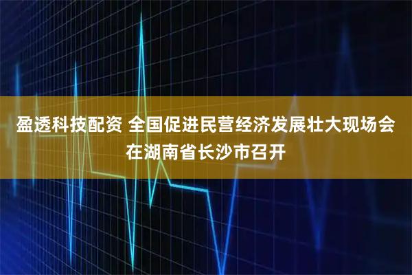 盈透科技配资 全国促进民营经济发展壮大现场会在湖南省长沙市召开
