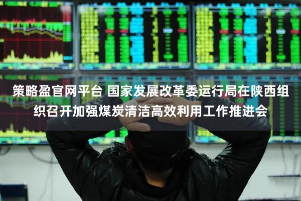 策略盈官网平台 国家发展改革委运行局在陕西组织召开加强煤炭清洁高效利用工作推进会